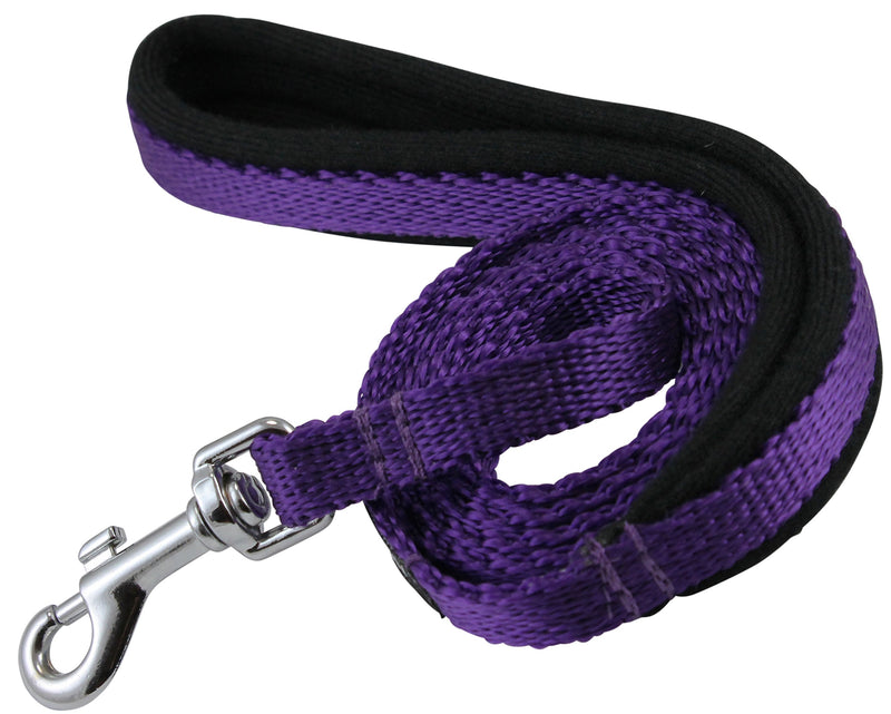 [Australia] - Dogs My Love 4ft Long Neoprene Padded Handle Nylon Leash 4 Sizes Purple Small - 3/8" Wide 