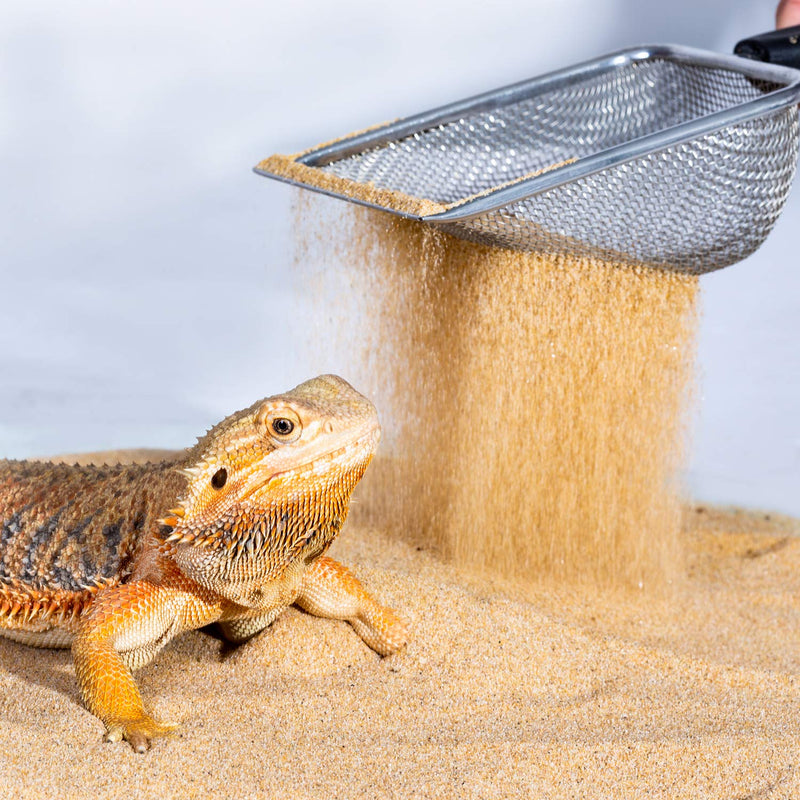 REPTI ZOO Reptile Sand Stainless Steel Fine Mesh Reptile Substrate Metal Sand Shovel Terrarium Substrate Durable Litter Cleaner Corner Scoop - PawsPlanet Australia