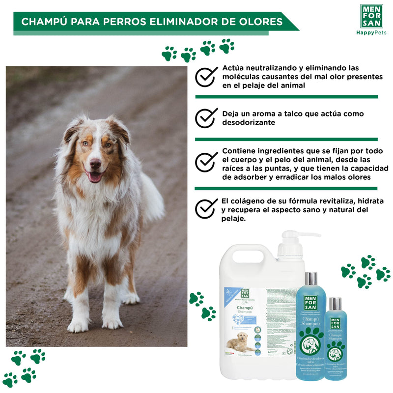 MENFORSAN Odor Eliminator Dog Shampoo 5L, eliminates bad smells from the fur - PawsPlanet Australia