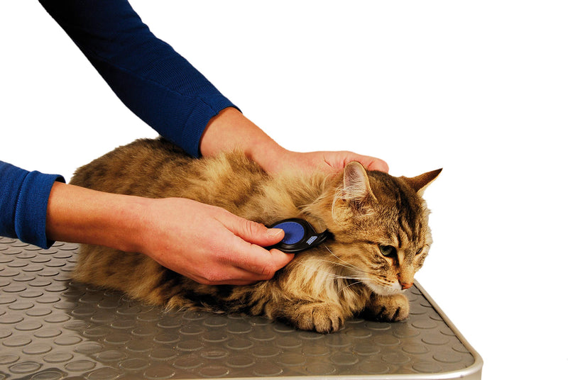 Single Detangler Comb for Long-Haired Animals - PawsPlanet Australia