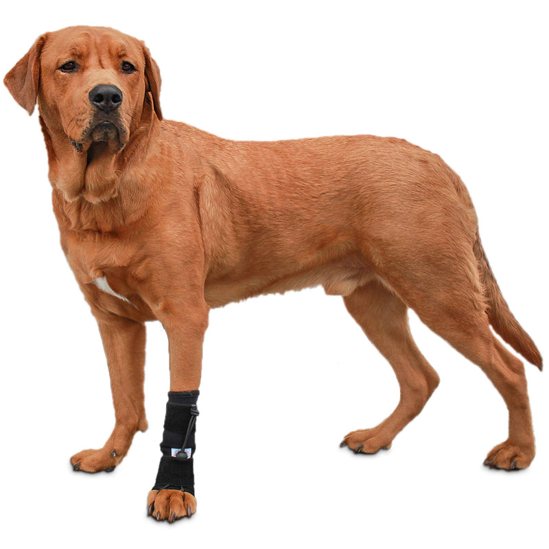 [Australia] - Walkin' Front No-Knuckling Training Sock | Helps Dogs Pick up Their Feet When Knuckling Under or Dragging Their Front Paws Medium 
