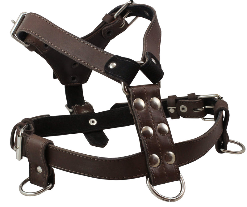 [Australia] - Genuine Leather Dog Harness Medium to Large 25"-32" Chest, 1" Wide Adjustable Straps Brown 