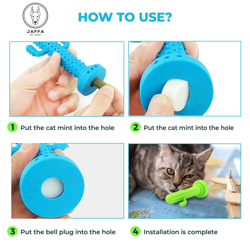 Jaffa Pet Shop Cactus Teething Cat Toy Mint 100% Soft Silicon Interactive Cat Teether Catnip Toy Durable and Soft Bite Resistant Pet Chewable Toy Cat Dental Care Toy with 2 Small Bell and 6 Catnips - PawsPlanet Australia