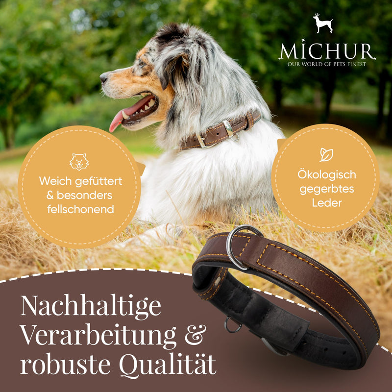Michur Minimo dog collar leather, leather collar dog, collar, brown, leather, available in different sizes, neck circumference 24-30cm - PawsPlanet Australia