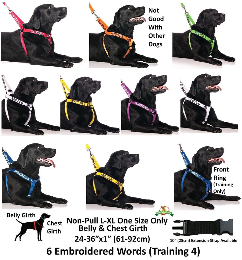 [Australia] - Blind Dog (Dog Has Limited/No Sight) White Color Coded Non-Pull Front and Back D Ring Padded and Waterproof Vest Dog Harness Prevents Accidents by Warning Others of Your Dog in Advance Medium Harness 19-28inch Chest 