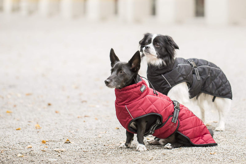 CHIARA Nelson Winter Coat for Dogs - Harness and Warm Fleece Integrated, XL - PawsPlanet Australia