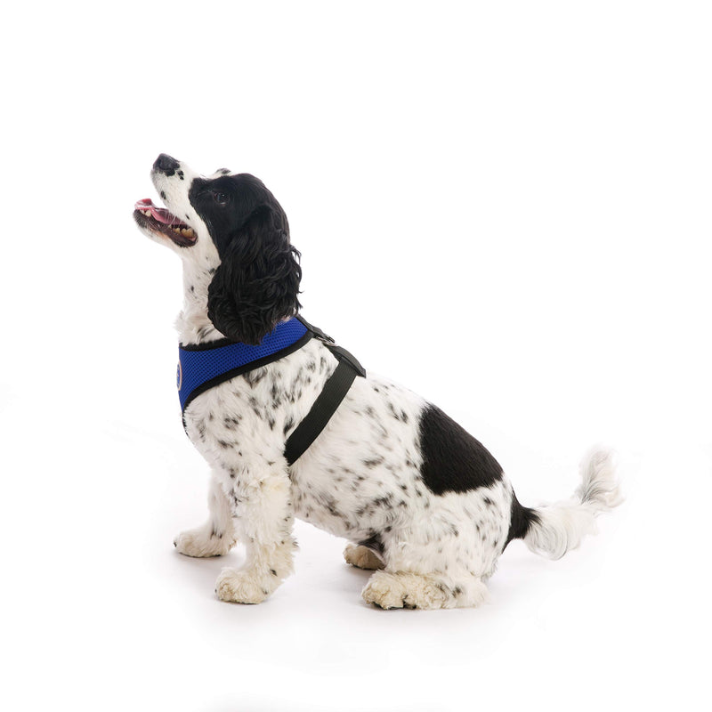 [Australia] - Gooby - Soft Mesh Harness, Small Dog Harness with Breathable Mesh Large chest (14-19") Blue 