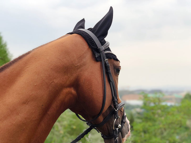 TGW RIDING Horse Ear Bonnet/Net/Hat/Horse Hood/Mask Horse Veil Horse Ear Bonnet (Full, Black/Clear Crystal) Full - PawsPlanet Australia