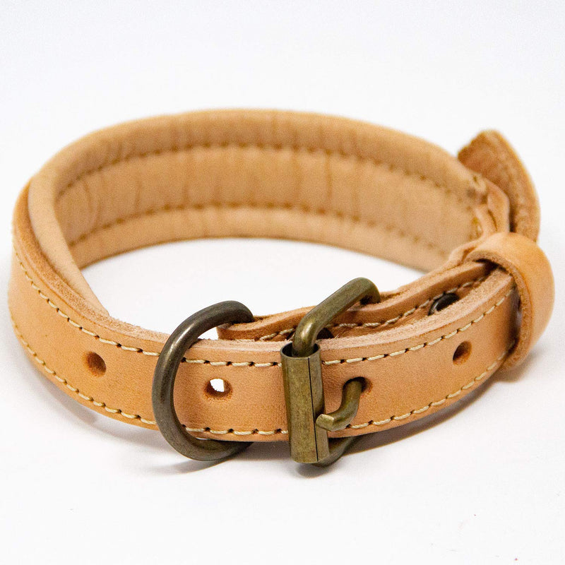 Logical Leather Leather Padded Dog Collar | 100% Genuine Full Grain Leather Dog Collar With Riveted Strap Ends & Premium Hardware | Beige | Extra Small XS - PawsPlanet Australia