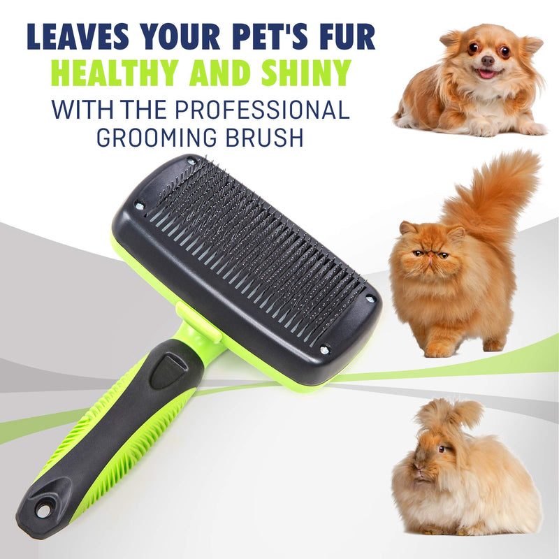 Rexipets Self Cleaning Slicker Brush- for Dogs, Cats & Pets-One Click Cleaning Function-Gentle & Effective Cat, Pet & Dog Hair Remover-Dog Grooming Accessories for Small, Medium & Large Dogs - PawsPlanet Australia