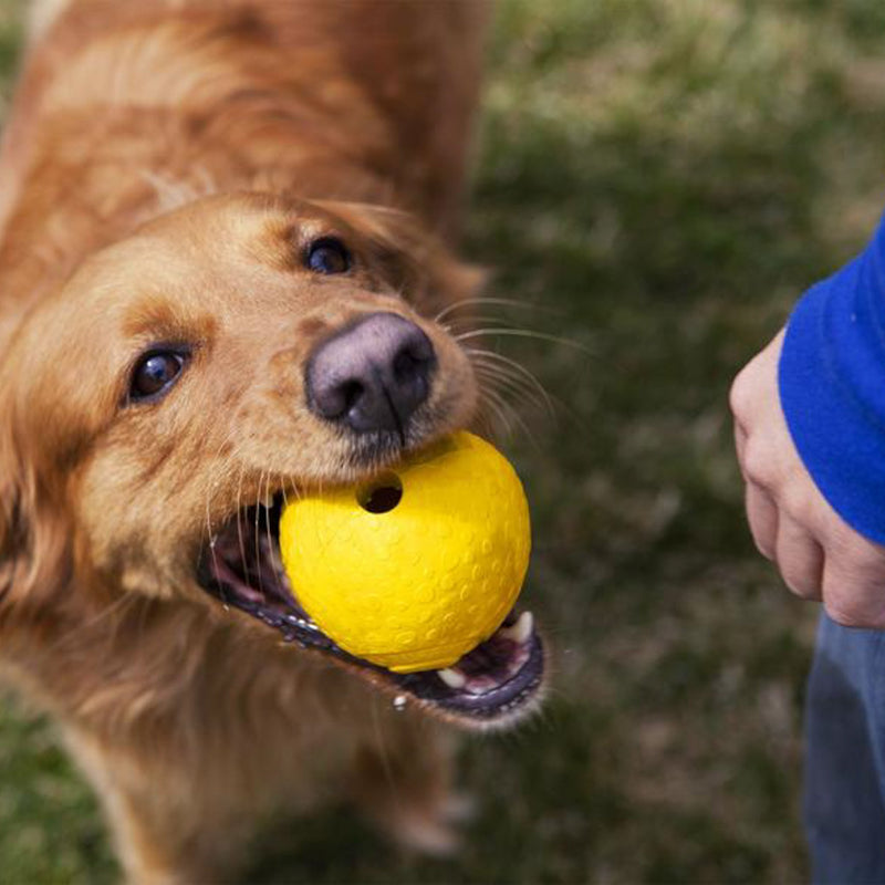 Ruffwear Chew-Resistant Rubber Dog Toy, Food & Treat Dispenser, One Size, Dandelion Yellow, Huckama, 60701-755 - PawsPlanet Australia