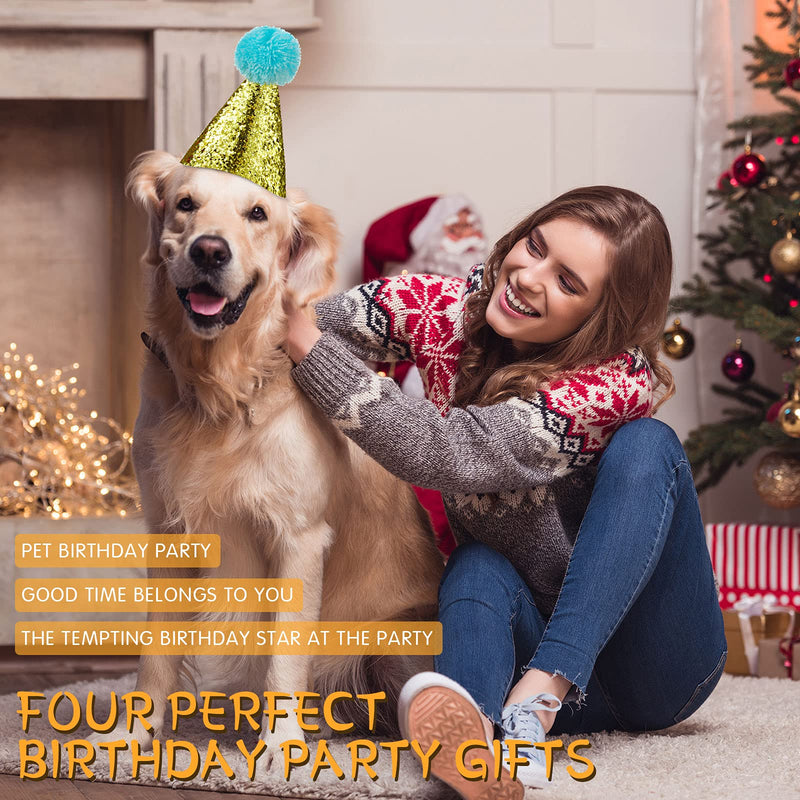 4 Pieces Dog Birthday Hat for Pets Christmas Party Decoration Accessories Pet Headband Hats Charms Grooming Accessories Gold, Silver, Blue, Green - PawsPlanet Australia