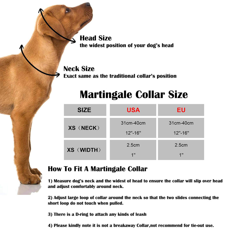 T.A.Bird Dog Martingale Collar Personalized Nylon Webbing Collar Limited Slip Dog Collar Without Buckle XS geometry - PawsPlanet Australia