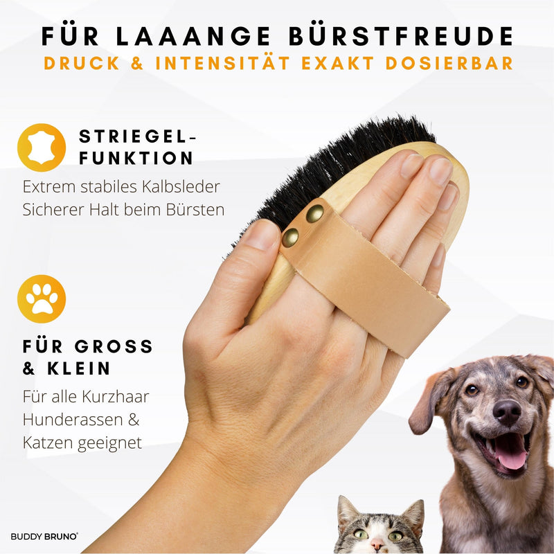 BUDDY BRUNO® dog brush short hair with 100% natural bristles, MADE IN DE, fur brush for daily grooming, premium curry comb for dogs & cat brush, including brush cleaner - PawsPlanet Australia