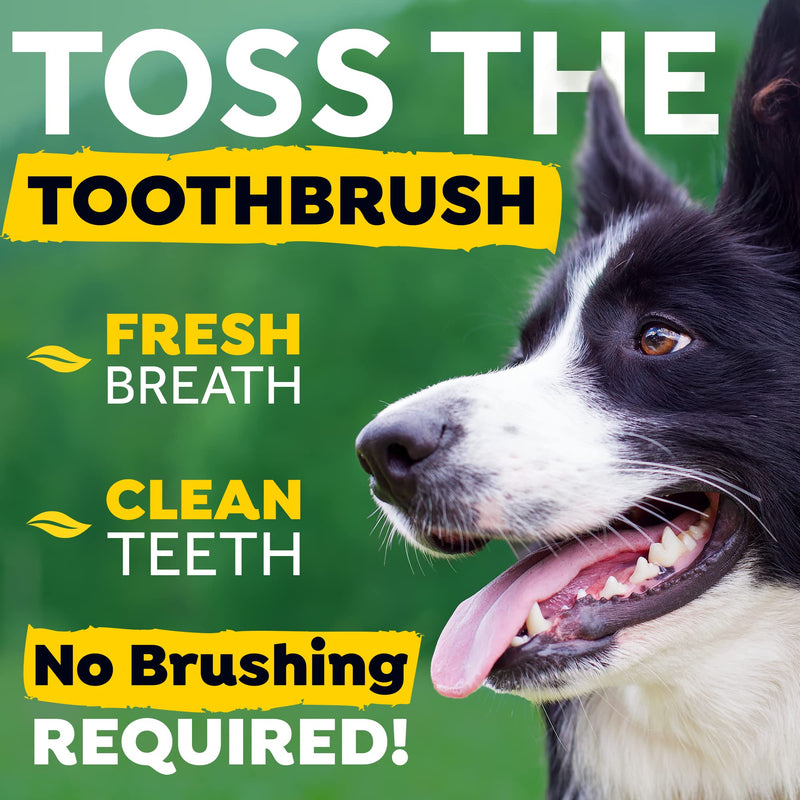 TropiClean Fresh Breath Oral Care Drops for Dogs, Breath Freshener for Dogs with Bad Breath, Made With Natural Ingredients, 2.2 Fl Oz - PawsPlanet Australia