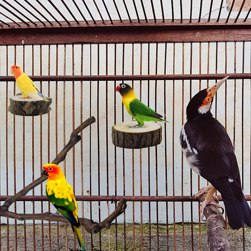 Deloky Bird Parrot Perch Platform-Natural Bird Perch Stand-2 PCS Wooden Playground Cage Accessories for Small Parakeets Budgies Cockatiels Conure Lovebirds - PawsPlanet Australia