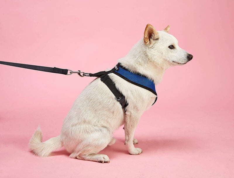 Gooby Comfort X Head in Harness - No Pull Small Dog Harness with Patented Choke-Free X Frame - Perfect on The Go Dog Harness for Medium Dogs No Pull or Small Dogs for Indoor and Outdoor Use Small (5-9 lbs) Black - PawsPlanet Australia