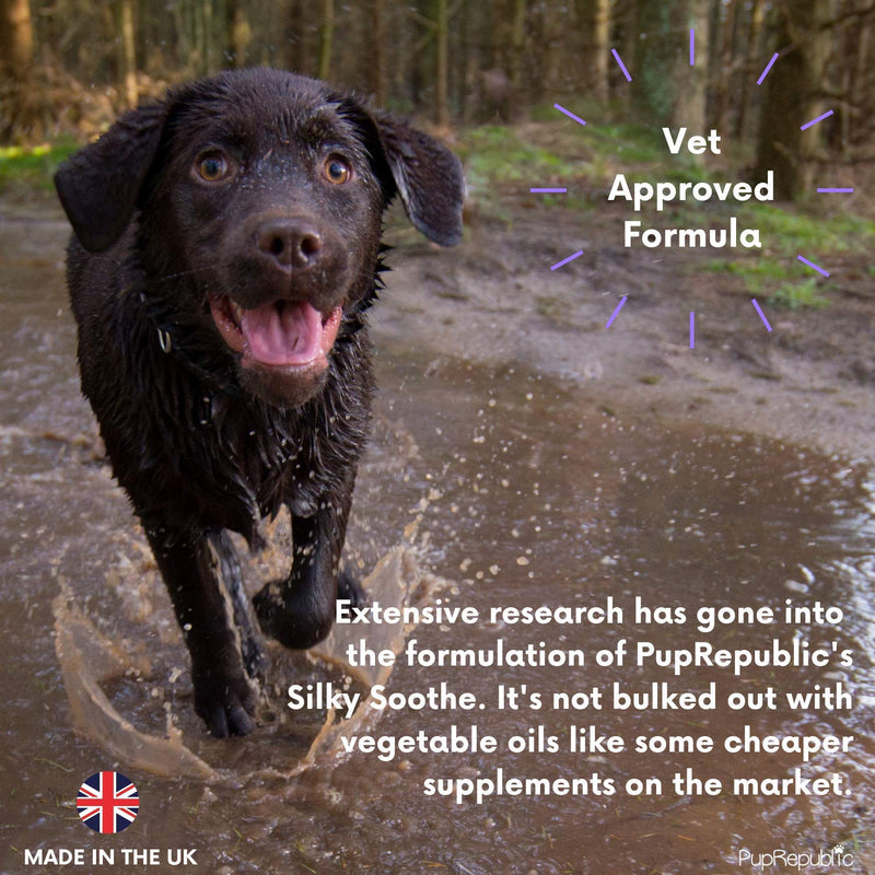 PupRepublic Dogs Itchy Skin Liquid Supplement-Promotes Glossy Coat-Helps Dry Skin-Dog Shedding Treatment-Omega 3-Fish Oil-250ml - PawsPlanet Australia