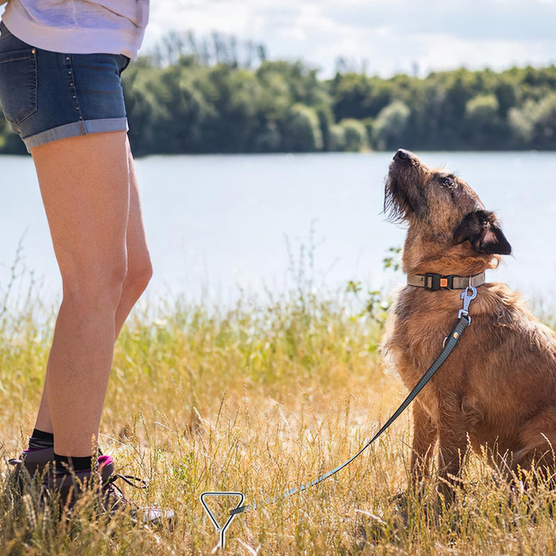 badaren mooring peg for dogs, mooring peg with 2.3m tie-out lines, dog ground anchor, mooring spiral peg with dog leash, stainless steel ground anchor for yard and camping for small to medium dogs - PawsPlanet Australia