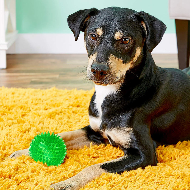 SHARLOVY Squeaky Balls for Dogs Small, Fetch Balls for Dogs Rubber 6 Pack Bright Colors TPR Puppy Toys Dog Toy Balls Dog Squeaky Toys Spike Ball Dog Chew Toys for Small set of 3 multi - PawsPlanet Australia