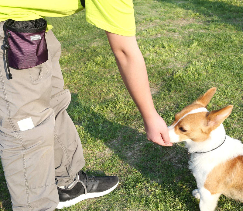 VIVAGLORY Dog Treat Bag, Hands-Free Puppy Training Pouch with Adjustable Waistband and Built-in dog waste bag dispenser, 2 Ways to Wear, Purple Basic - PawsPlanet Australia