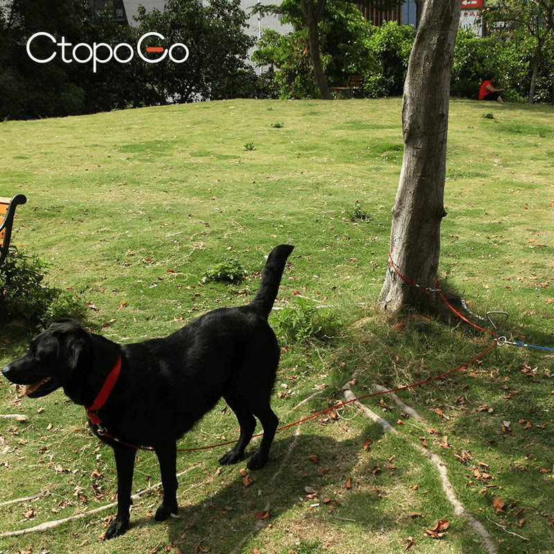 CtopoGo 10ft /16ft /33ft - Dog Tie Out Cables, Pet Tie-Out Leashes, Tie-Out Cable Heavy Duty Dogs Chain Leashes for Dogs up to 125 lbs, Pet Leads for Small/Medium Size (3m, Red) 3m - PawsPlanet Australia