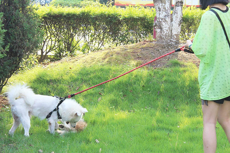 5 FT Strong Dog Leash with Comfortable Padded Handle and Highly Reflective Threads Small Medium and Large Dogs (Red) Red - PawsPlanet Australia