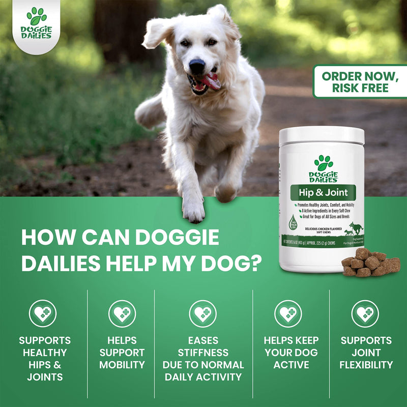 Doggie Dailies Glucosamine for Dogs, 225 Soft Chews, Advanced Hip and Joint Supplement for Dogs with Glucosamine, Chondroitin, MSM, Hyaluronic Acid and CoQ10, Premium Dog Glucosamine Chicken - PawsPlanet Australia