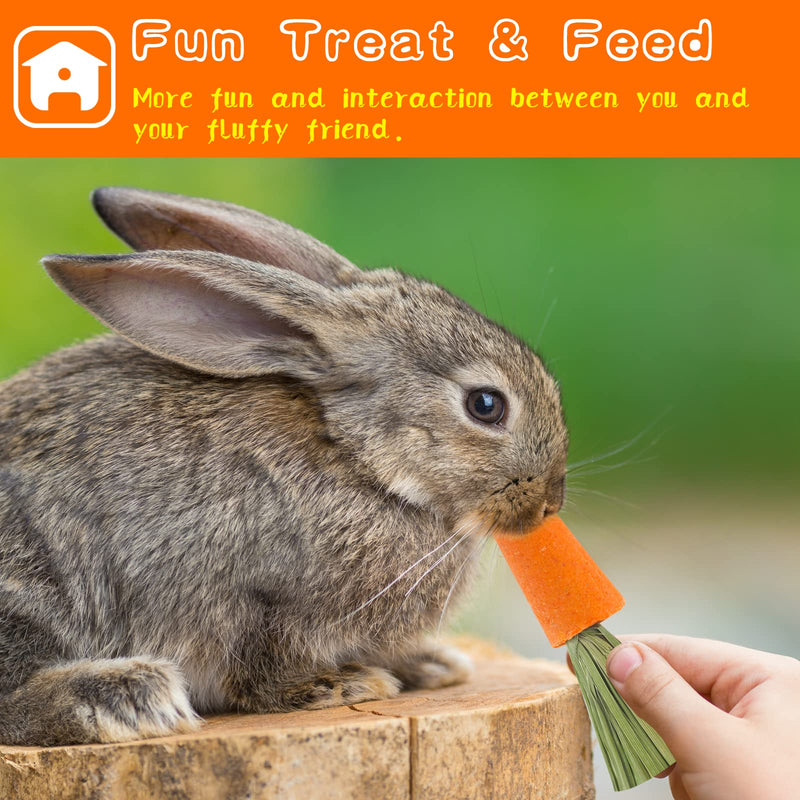 Hitkmi Small Animal Treats, Rabbit Chew Toys, Small Animal Chew Carrots, All Natural Hamster Treats, Nutritious Molar Toys Handmade for Rabbit/Hamster/Guinea Pig & More Small Animals 9 PCS - PawsPlanet Australia