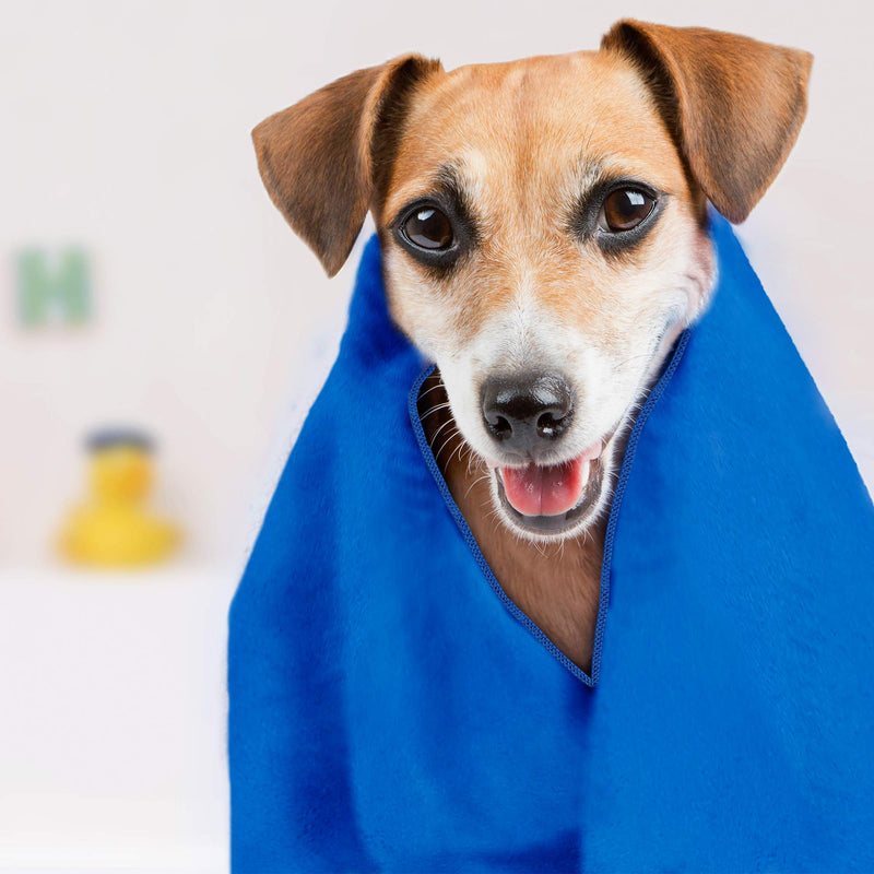 Cloveree Small Dog and Puppy Towel, Absorbent and Quick Drying Microfiber Pet Towels - 2 Pack - PawsPlanet Australia