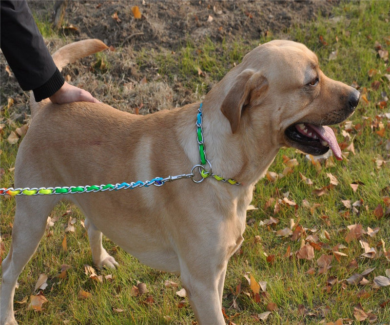 [Australia] - JWPC Rainbow Color Stainless Steel P Chock Metal Chain Training Dog Pet Collars Necklace Walking Training Pet Supplies Small Medium Large Dogs 4.0mm*60cm/(23.7") (collar) 