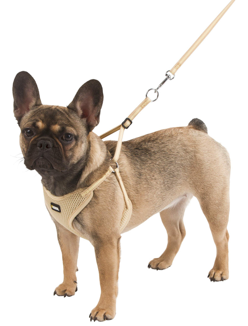 Kerbl Puppy Harness with Rope, 24-44 cm/10 mm, Beige - PawsPlanet Australia