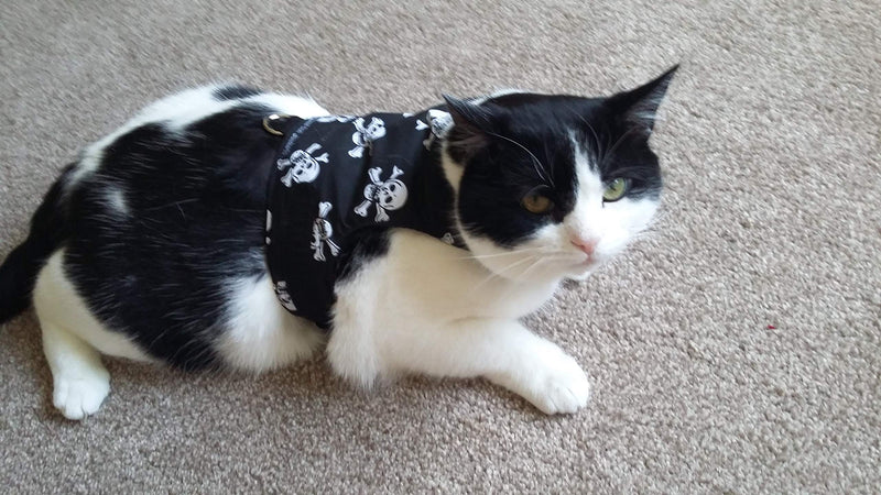 Mynwood Cat Jacket/Harness Skulls Kitten up to 8month - PawsPlanet Australia