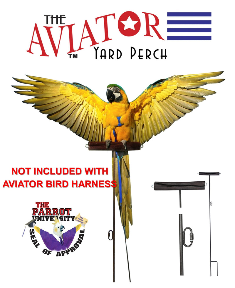 [Australia] - The AVIATOR Pet Bird Harness and Leash L Black 