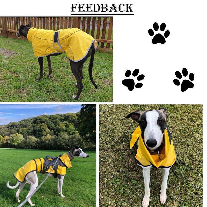 Greyhound Raincoat, Whippet Raincoats with Reflective Bar, Rain/Waterproof, Adjustable Vest - Stylish Dog Coat for Greyhounds, Lurchers and Whippets - Red - XS - PawsPlanet Australia