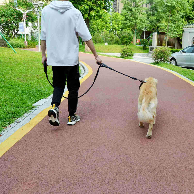 [Australia] - Anbeer 6 FT Dog Leash Traffic Padded Two Handles, Reflective Threads for Control Safety Training for Medium to Large Dogs Black 