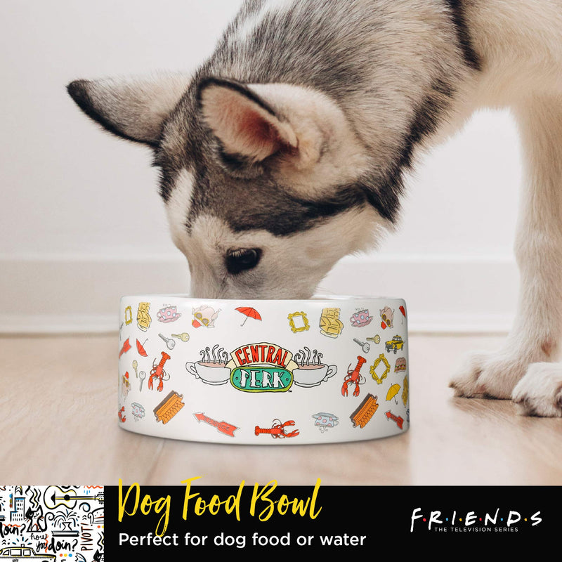 Warner Bros Friends TV Show Joey Doesn't Share Food Ceramic Dog Food Bowl, 6 in | White Dog Bowl, Friends TV Merchandise for Friends Fans | Dog Water Bowl or Dog Food Bowl for Wet or Dry Food - PawsPlanet Australia