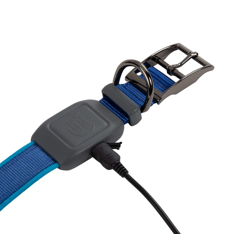 [Australia] - Nite Ize NiteDog Rechargeable LED Collar, USB Rechargeable Light Up Dog Collar w/ Metal Buckle Blue Small 