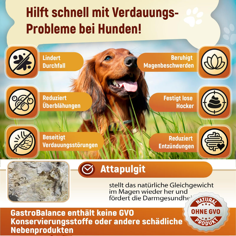 GastroBalance fast-acting diarrhea aid for dogs - natural dog diarrhea treatment with immediate effect for SMALL dogs < 10 kg (German) German - PawsPlanet Australia