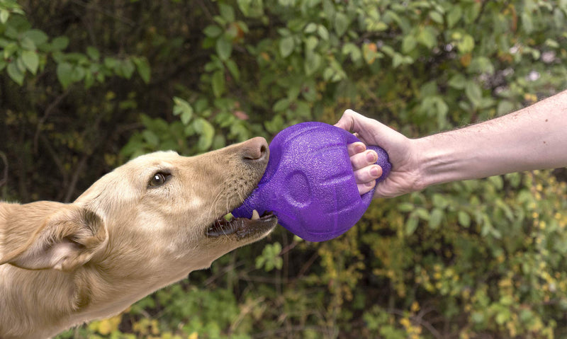 Kronos 9 Sphere Dog Toy, purple - PawsPlanet Australia