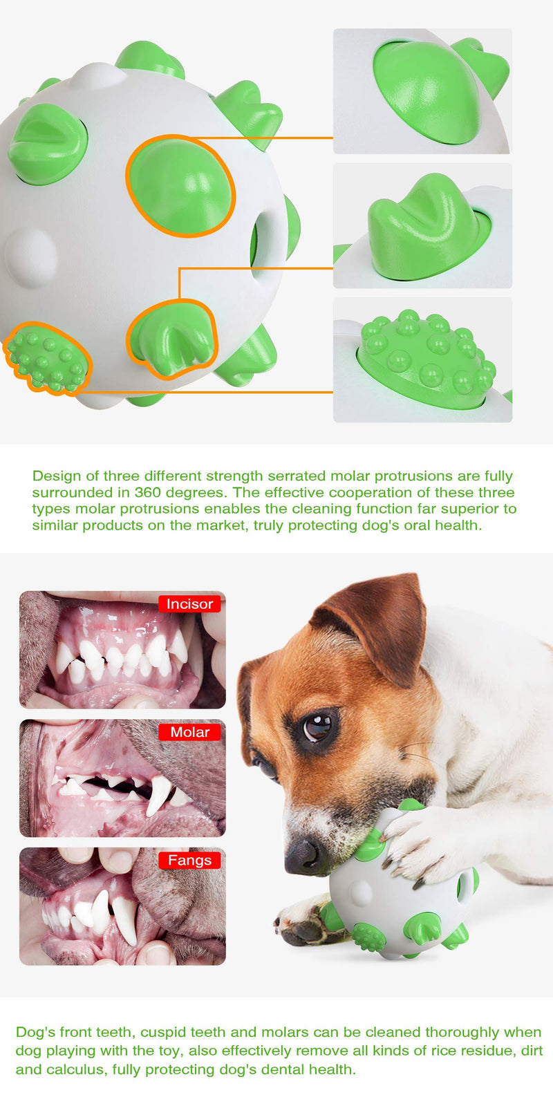 Dog Interactive Toy Ball-Dog molars Cleaning Toys Suitable for Small Medium and Large Dogs (Green) Green - PawsPlanet Australia