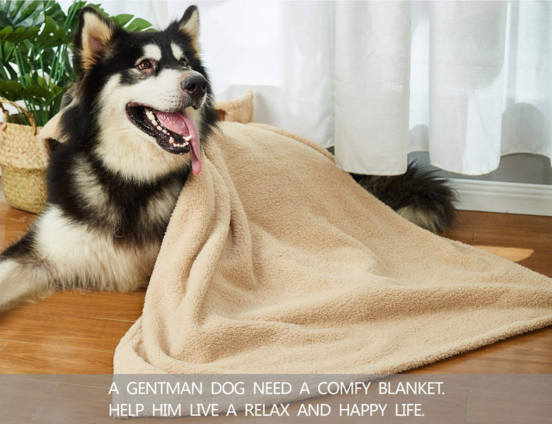 [Australia] - Warm Fleece Dog Blanket Durable, Sherpa Fleece Throw Dog Blanket, Pet Throw Blanket Fluffy Soft Reversible Washable for Dogs and Cats Large(40*47") Beige 