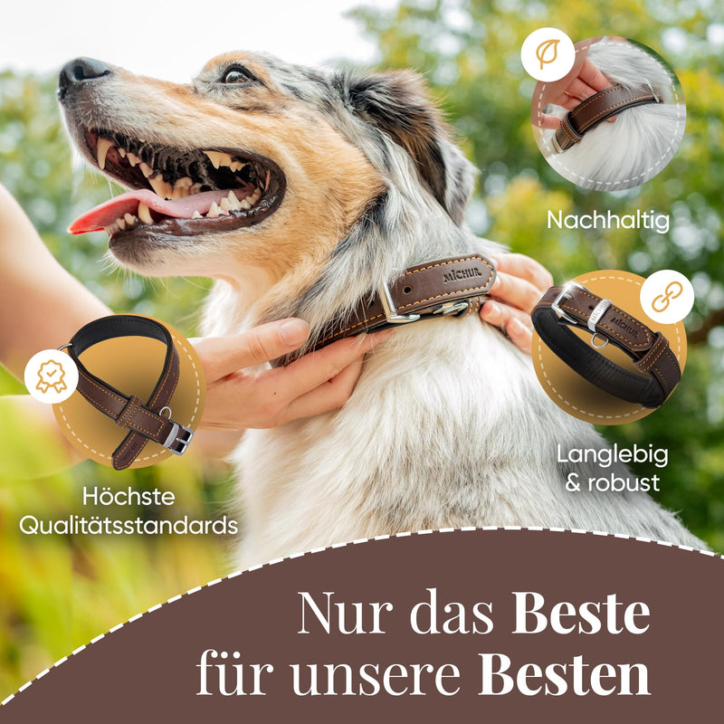 Michur Minimo dog collar leather, leather collar dog, collar, brown, leather, available in different sizes, neck circumference 24-30cm - PawsPlanet Australia