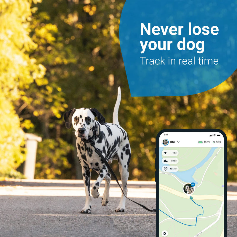 Tractive GPS DOG 4, Dog Tracker, Always Know Where Your Dog Is, Keep Them Fit with Activity Monitoring, Unlimited Range (Coffee) - PawsPlanet Australia