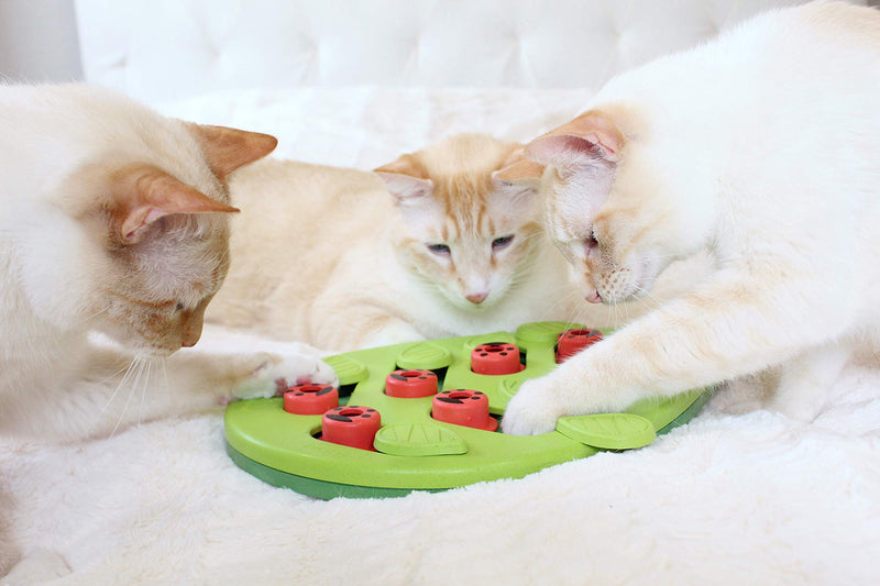 Nina Ottosson from Petstages Buggin Out Puzzle & Play - Interactive cat toy for treats Treat Puzzle - PawsPlanet Australia