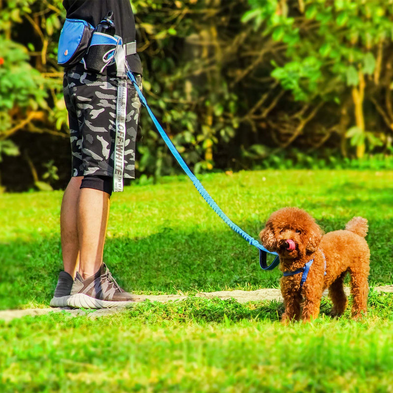 [Australia] - ThinkPet Hands Free Dog Leash for 2 Dogs - Shock Absorbing Bungee Leash for Medium to Large Dogs, Adjustable Waist Belt from 25.6" to 49", Dog Treat Pouch & Bottle Holder 