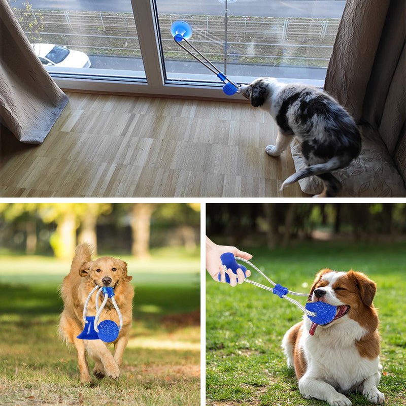 DGGHOMY Suction Cup Dog Toy, Pet Molar Bite Toy, Dog Tug Toy Chew Dog Rope Toy, Help Clean Teeth Multifunctional Interactive Rope Dog Toy - PawsPlanet Australia