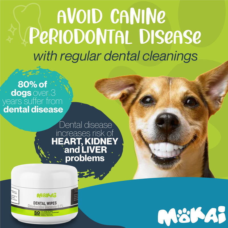 MOKAI Dental Wipes for Dogs and Cats | Dog Dental Wipes with Chlorhexidine Great for Dog Teeth Cleaning and Cat Teeth Cleaning Preventing Plaque Tartar Bad Breath Tooth Decay and Gingivitis 50 Pads - PawsPlanet Australia
