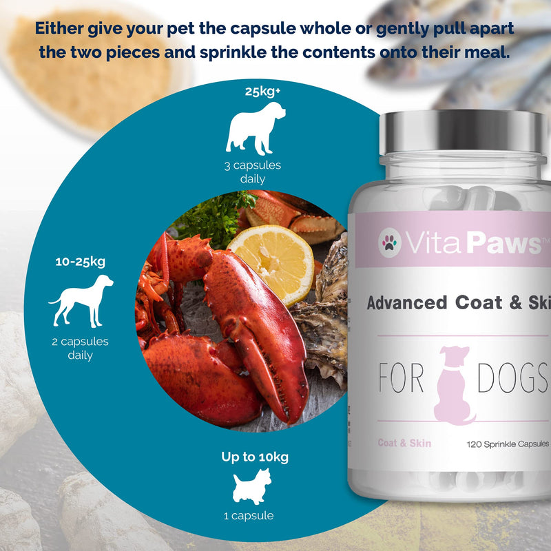 Advanced Coat & Skin Remedy for Dogs | Supplement Formulated for Dry, Itchy Skin or Dull Coats | Rich in Fish Oil, Flaxseed Oil & Biotin | 120 Sprinkle Capsules for Fussy Pets | UK Manufactured - PawsPlanet Australia