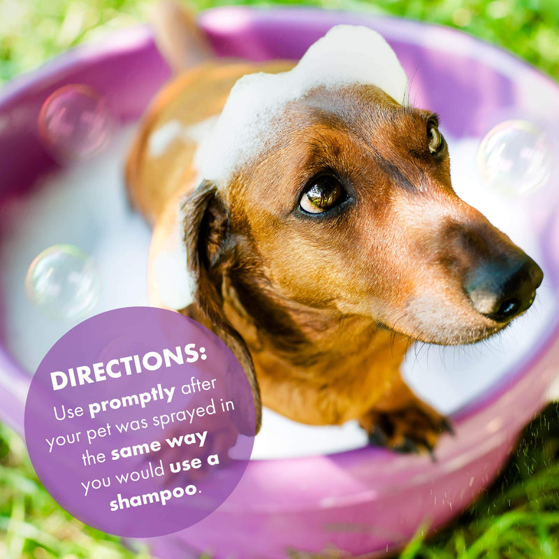 De-Skunk Odor Destroying Shampoo – Formulated with World’s Most Powerful De-Greasers to Remove Skunk Odor, Guaranteed – Only Skunk Shampoo You Need - Keep On Hand for Emergencies (32 oz.) - PawsPlanet Australia